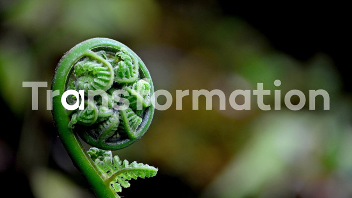 teaser-img